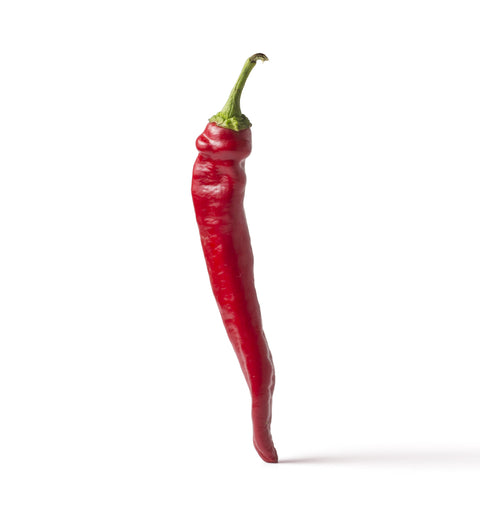 Chili Pepper