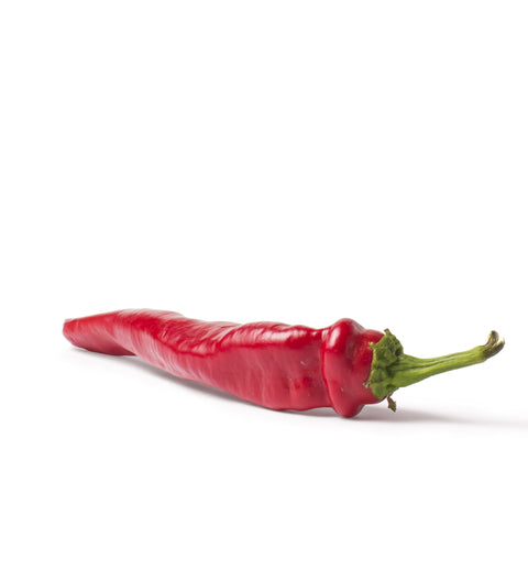 Chili Pepper