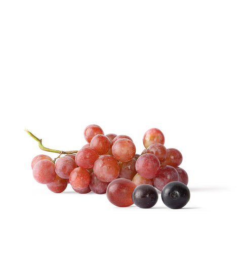 Uvas de mesa sem sementes